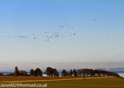 Little Dunbar holiday cottage in Dumfries and Galloway