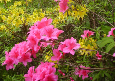 The House on The Shore - luxury bed and breakfast accommodation in Dumfries and Galloway
