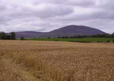 Farming at Arbigland Estate in Dumfries and Galloway
