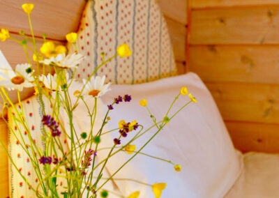 Curlew Lodge holiday chalet in south west Scotland